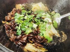 -回真楼(东门店)
