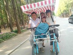 -日照海滨国家森林公园