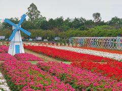 -盈香心动乐园