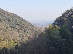 -韬光茶庵