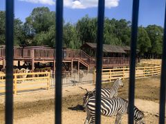 -鄂尔多斯野生动物园