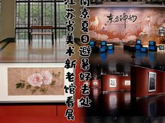 -江苏省美术馆(长江路新馆)