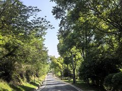 -南京市江宁方山