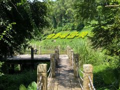 -深圳国际园林花卉博览园