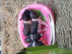 android_upload_pic-万达广场(南京江宁店)