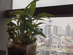 -唐猫庭院·千年陕菜(赛格国际购物中心店)