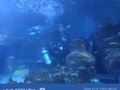 -太平洋海底世界