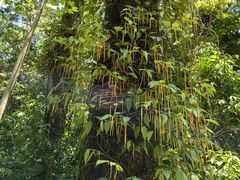 -天台山琼台仙谷景区