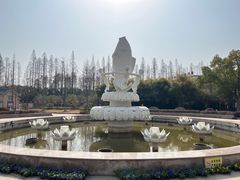 -水杉园