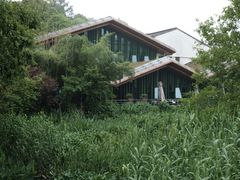 -西湖风景区-江洋畈生态公园