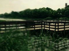 -新江湾城公园