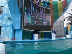 景点-上海欢乐谷