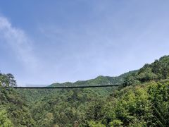 -遂昌金矿国家矿山公园