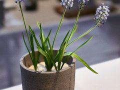 -YUNHE秐合· 雅致浙宴(西溪店)