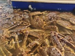 -海景壹号大酒店(滨湖店)