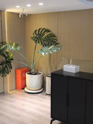 -海菲秀黑钻·SELF SKIN悦己·Tech SPA