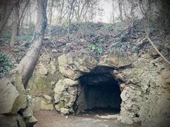 -上海佘山国家森林公园天马山园