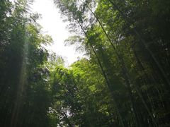-同里国家湿地公园