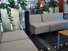 -招商银行(上海分行营业部)