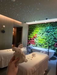 -VELEE·SPA高定疗愈会所