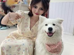 -汪说·狗咖·拼豆·宠物周边DIY(旺城大厦店)