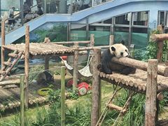 -大连森林动物园