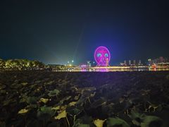 -唐山河头老街国丰维景国际大酒店