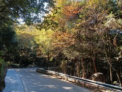 -广州市石门国家森林公园