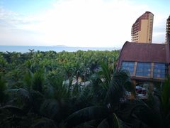 -三亚湾海居铂尔曼度假酒店