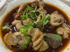 -天一沾水肥肠(科园一街店)