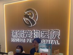 -瑞派康怡24h宠物医院·犬猫医疗中心·微创绝育(瑞景分院)