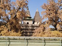 -北京石刻艺术博物馆(五塔寺)