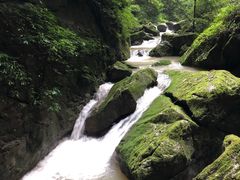 -国庆鸡杂老店