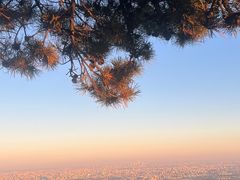-香山公园