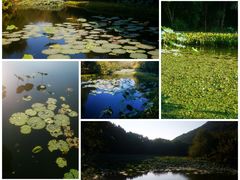 -八卦田遗址公园