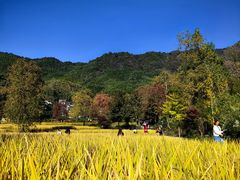 -塔川景区