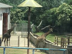 -西安秦岭野生动物园