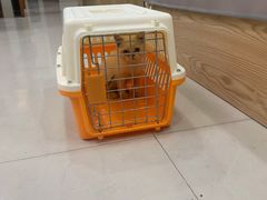 -艾贝尔宠物诊疗