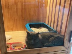 -转角宠物(转塘方家苑店)