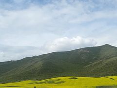 -扁都口生态休闲旅游区