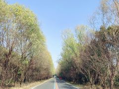 -同里国家湿地公园