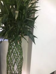 -悟空祛痘·诺奖技术专业店