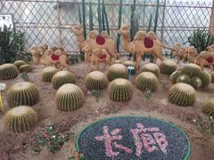 -长廊欢乐园
