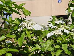 -浙江大学(玉泉校区)