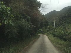 -海南热带雨林国家公园吊罗山景区