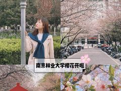 -南京林业大学-图书馆