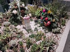 -春树下·树屋花房西餐厅(罍街AS1980店)