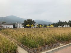 -玫瑰海岸文化旅游度假区