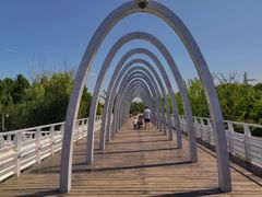 -大兴滨河森林公园