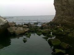 -海驴岛(荣成市)